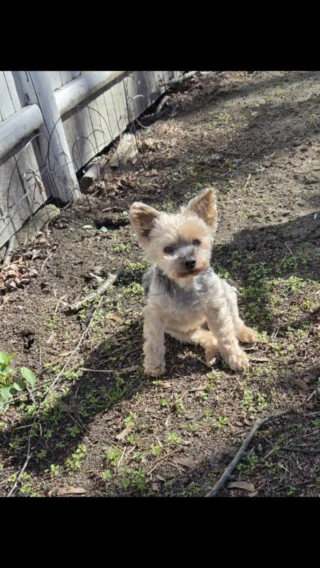 Instagram post from fureverinhim. This post is in position 3.