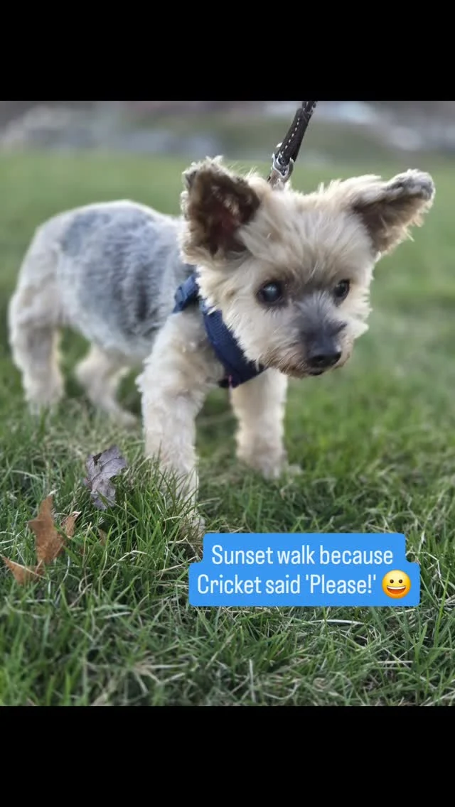 Instagram post from fureverinhim. This post is in position 1.