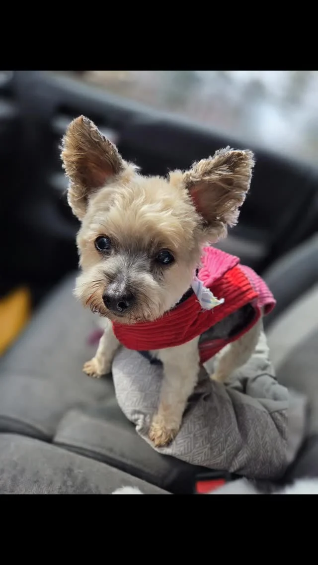 Instagram post from fureverinhim. This post is in position 2.