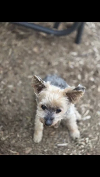 Instagram post from fureverinhim. This post is in position 1.