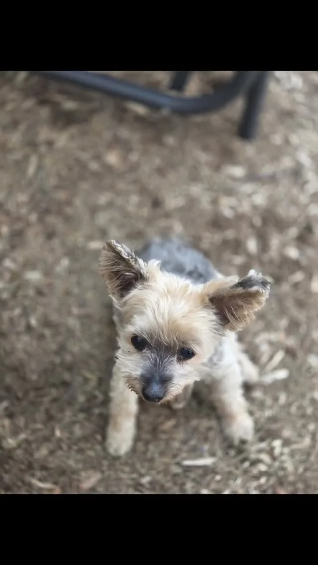 Instagram post from fureverinhim. This post is in position 0.