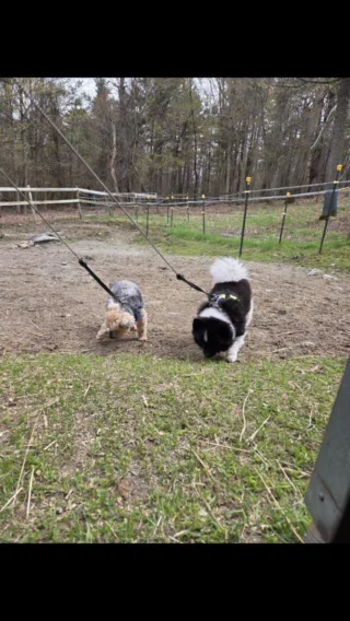 Instagram post from fureverinhim. This post is in position 2.