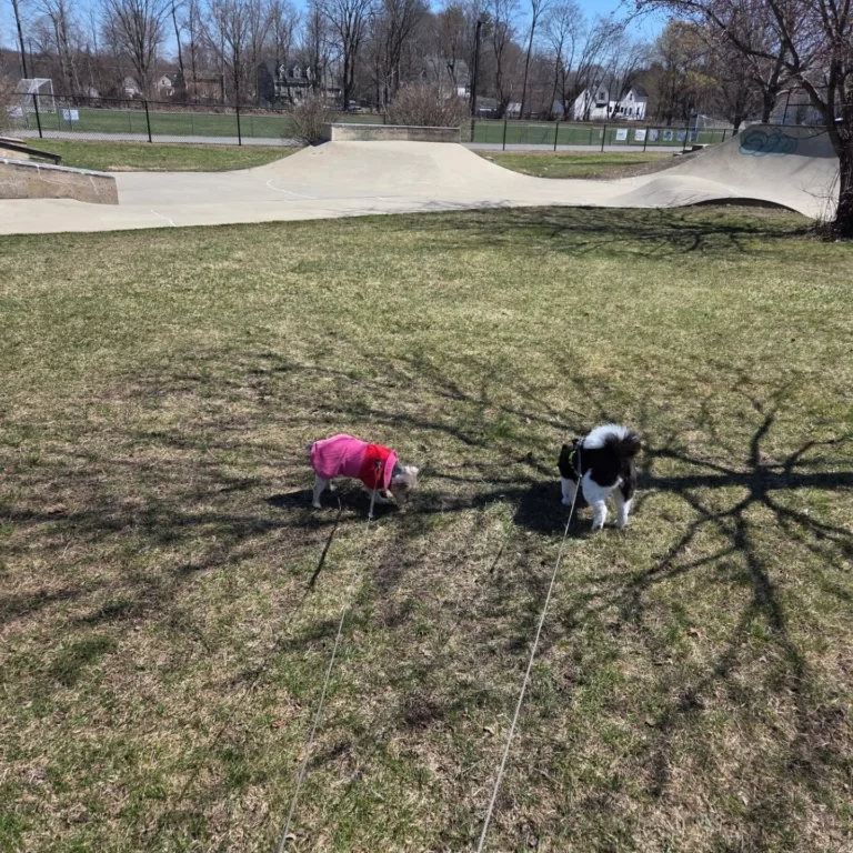 Instagram post from fureverinhim. This post is in position 1.