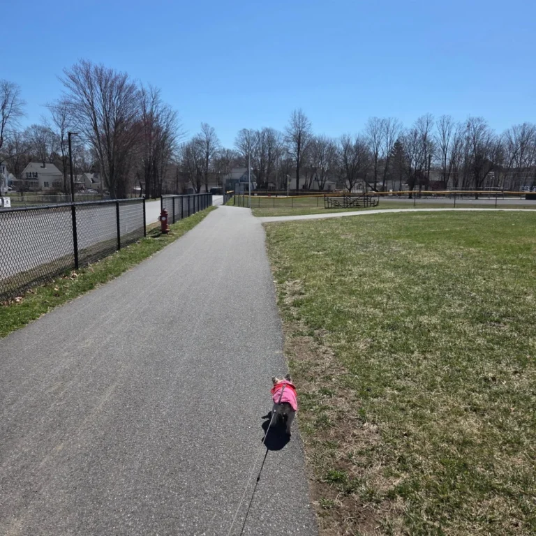 Instagram post from fureverinhim. This post is in position 0.