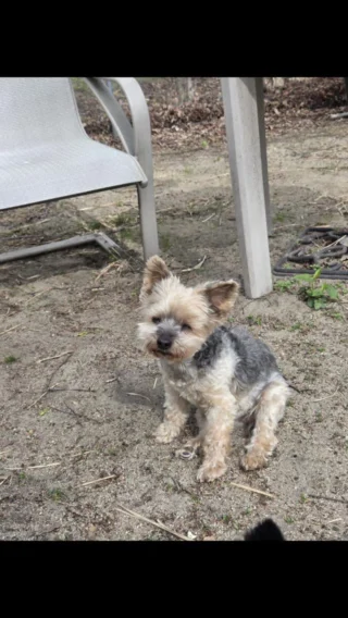 Instagram post from fureverinhim. This post is in position 1.