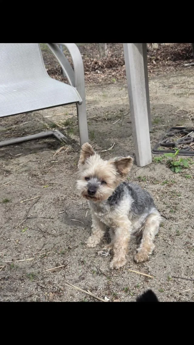 Instagram post from fureverinhim. This post is in position 0.