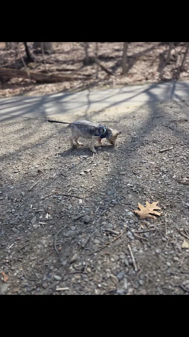 Instagram post from fureverinhim. This post is in position 0.